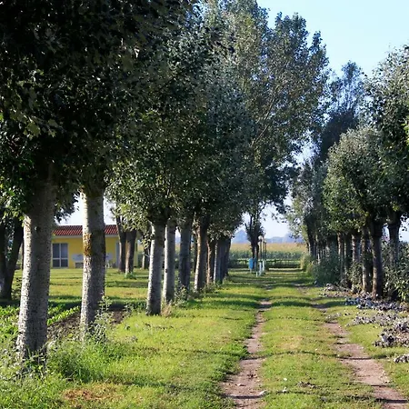 Kemp Agricamping La Montagnola