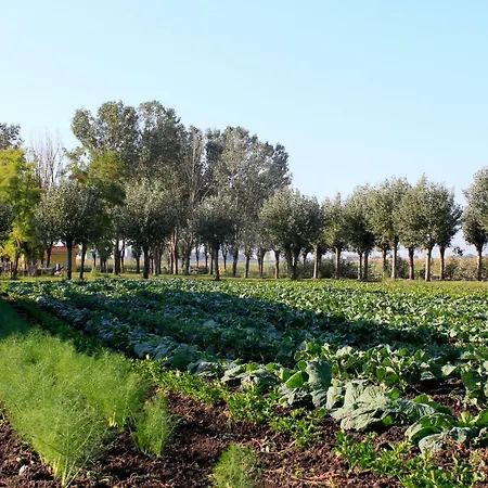 Agricamping La Montagnola